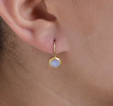 Nava Zahavi Yellow Gold Small Moonstone Drop Earrings