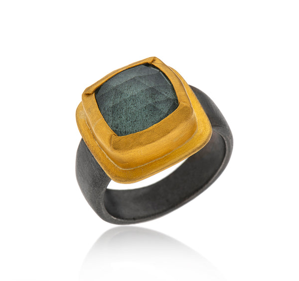 Nava Zahavi Yellow Gold and Silver Aquarius Ring